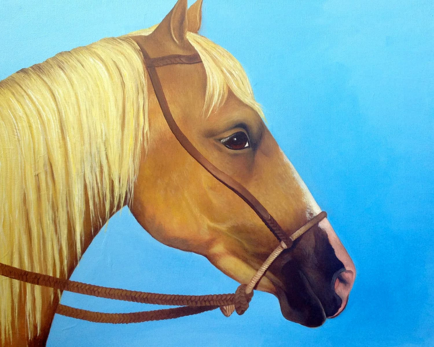 Palomino