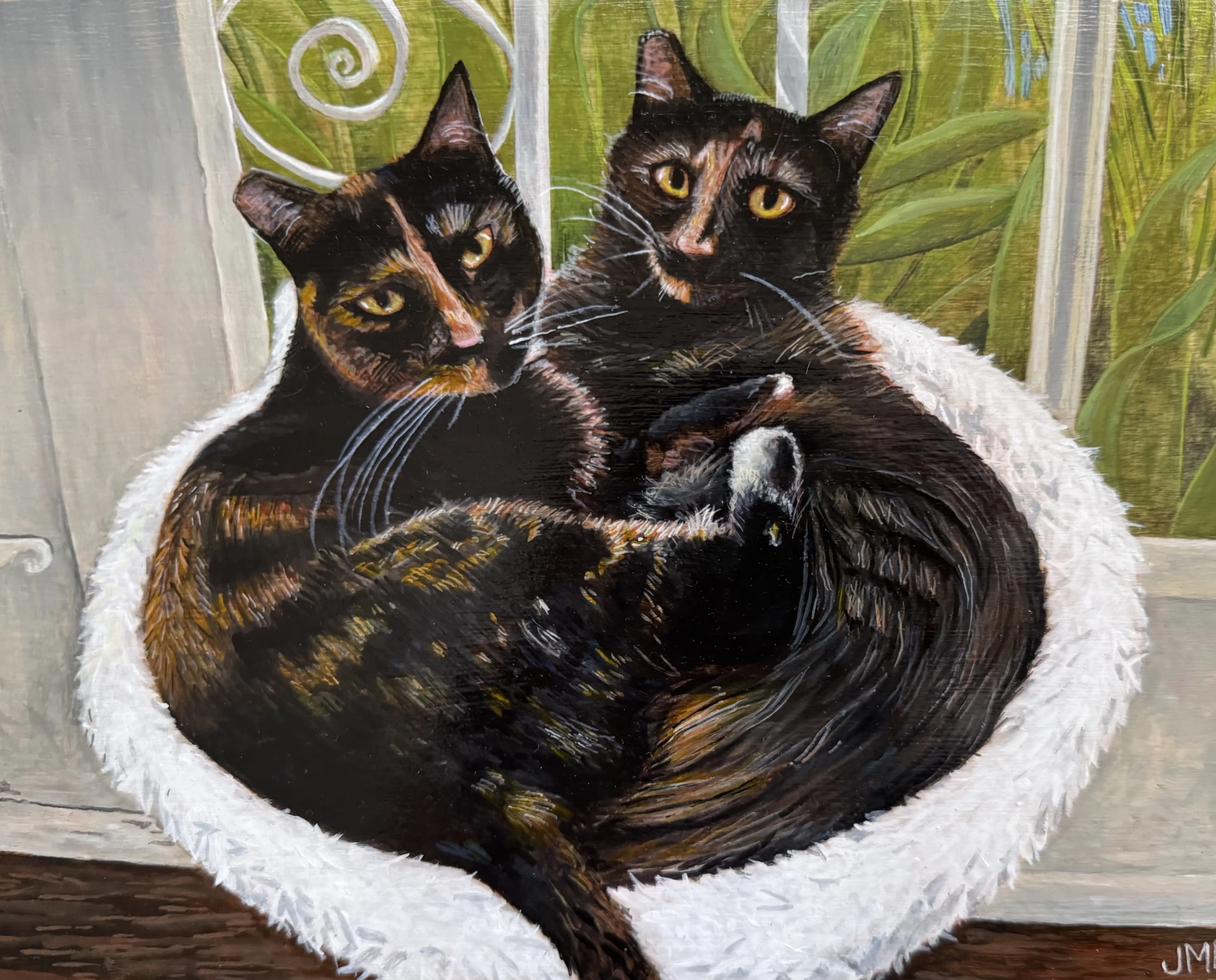 Matt Cadena's Torties