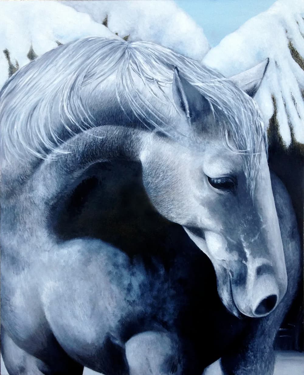 Snow Pony